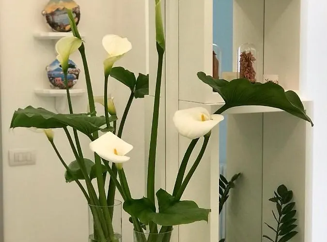 Al Parco Primavera 4* סורנטו