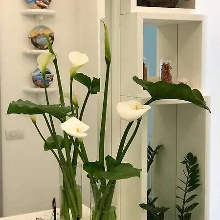 Al Parco Primavera 4* Сорренто