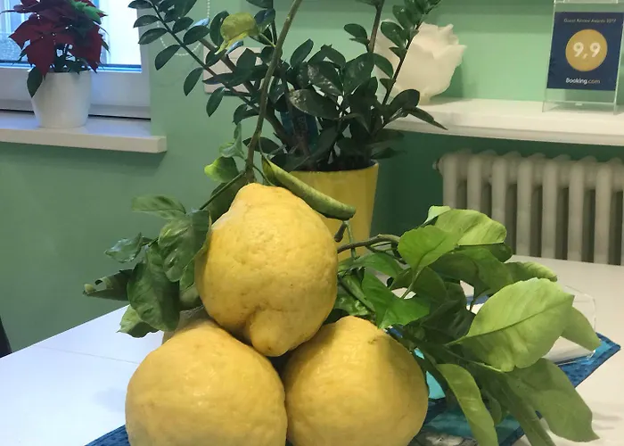 Al Parco Primavera Oda ve Kahvaltı