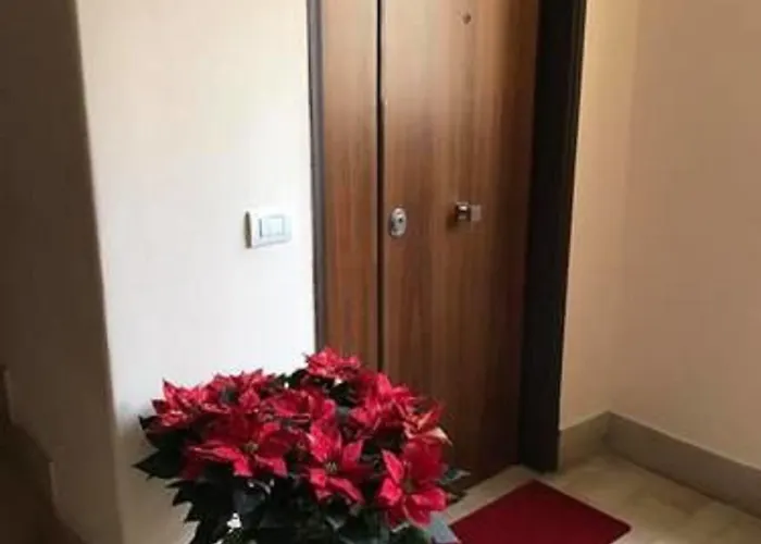 알 파르코 프리마베라 4*